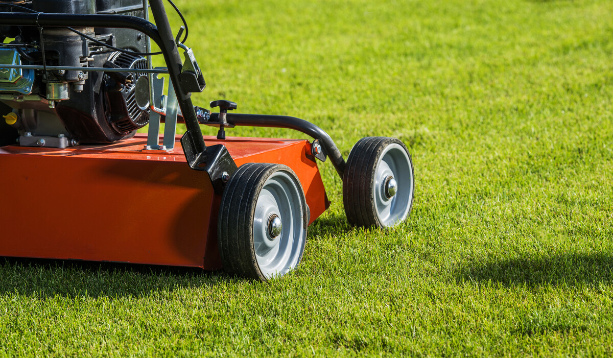 Backyard Lawn Aeration Using Gasoline Aerator Machine. Gardening and Landscaping Equipment. Grass Maintenance.