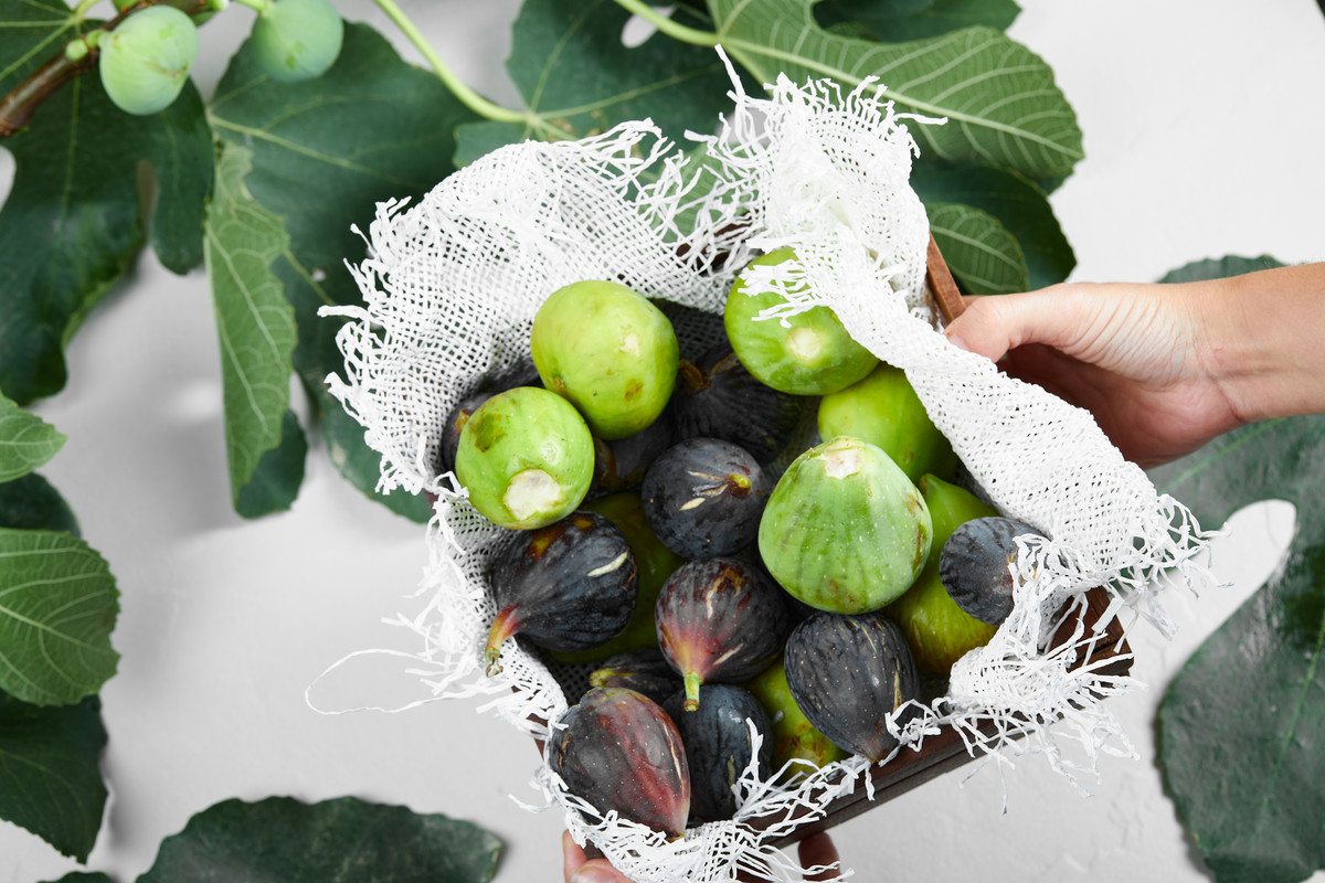 Green and purple figs in a wooden tray. High quality photo