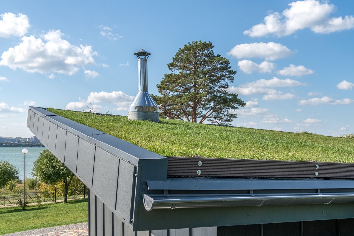 guest house with metal standing seam facade lawn flat roof lake bank rooftop with grass