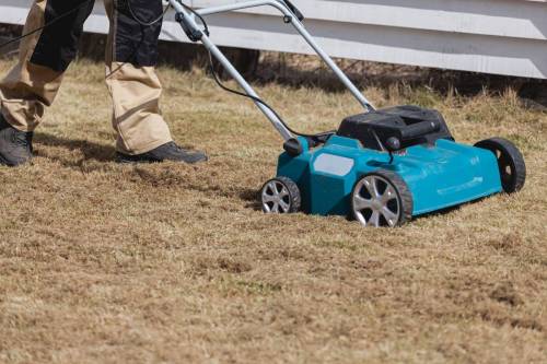 scarifying-lawn-with-scarifier-man-gardener-scarifies-lawn-removal-old-grass_original