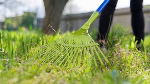 spring-cleaning-garden-closeup-rake-cleaning-green-grass-from-dry-grass-leaves_original