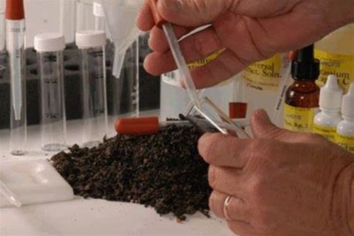 Laboratórne testovanie pH pôdy, pre získanie najpresnejších výsledkov. 