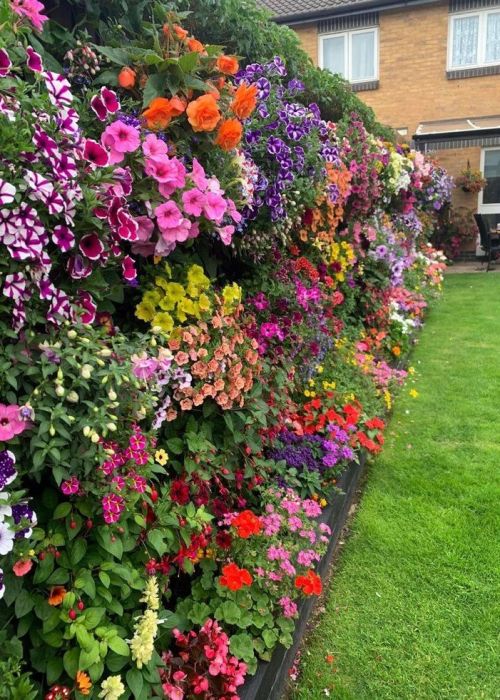 Kvety, bylinky, liany a iné rastliny sú zasadené do štruktúry kvetinovej steny. Rôzne druhy rastlín 