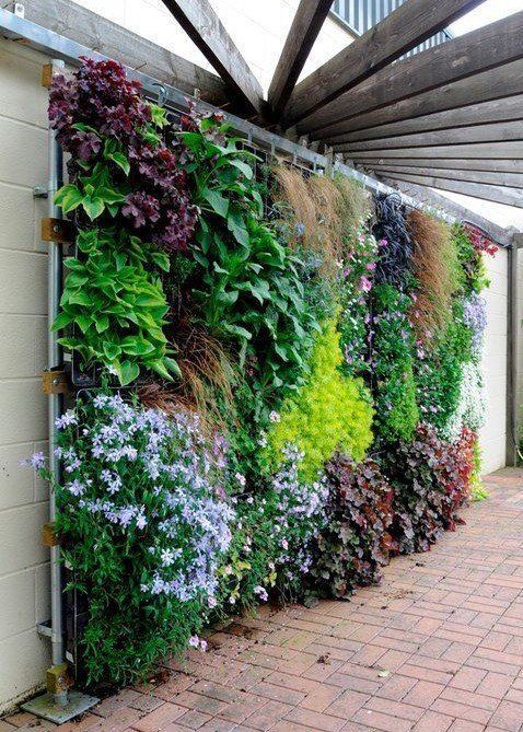 Okrem estetických aspektov môže kvetinová stena tiež prispieť k zlepšeniu kvality vzduchu, izolácii 