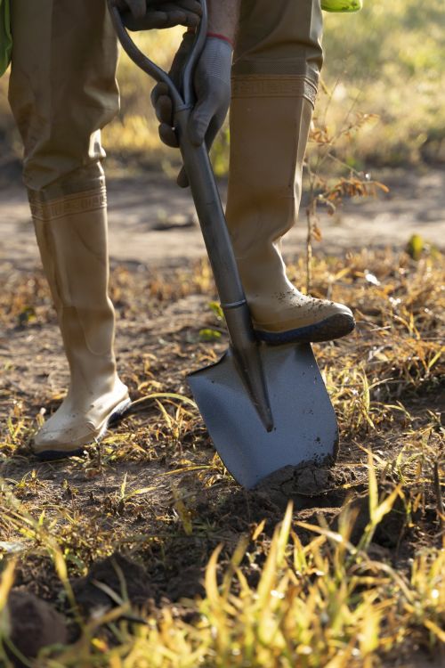 person-planting-tree-countryside