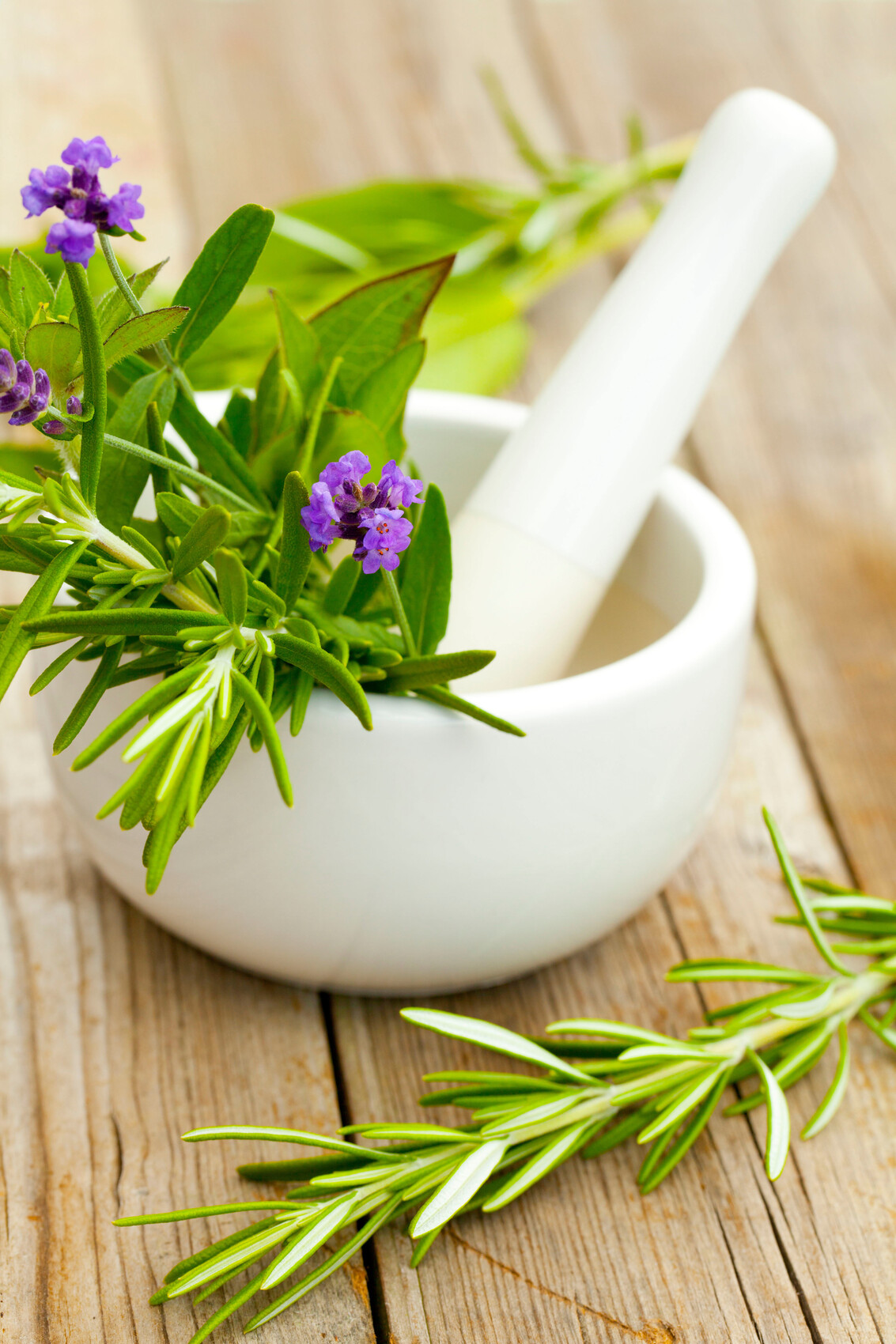 closeup shot purple lavender with mortar pestle beauty treatment concept